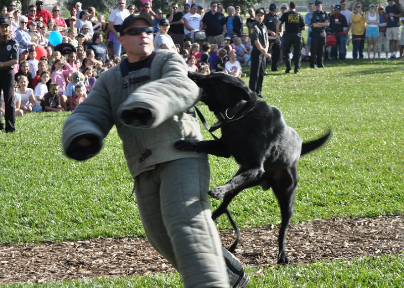 DSC_0094.jpg - Jupiter Police Department K9 unit exhibition.