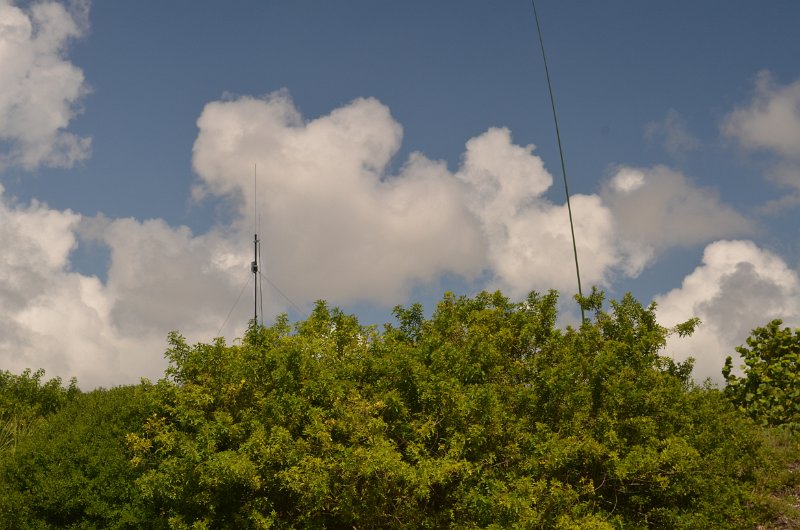 JKJ_6421.JPG