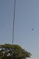 JKJ_6420