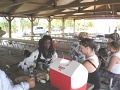 DSCN0193